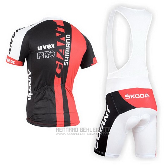 2015 Fahrradbekleidung Giant Alpecin Rot und Wei Trikot Kurzarm und Tragerhose - zum Schließen ins Bild klicken